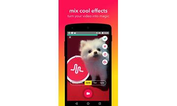 Musical.ly Videos for Android - Download the APK from Habererciyes